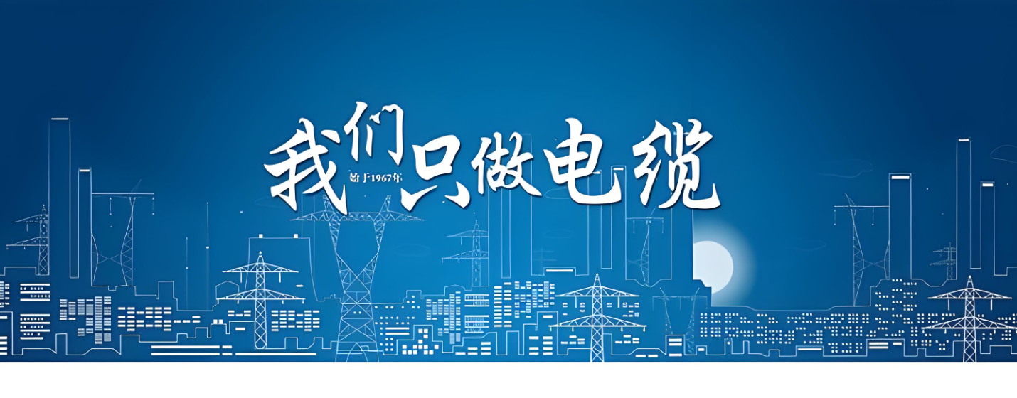 【行业资讯】2025全国两会后线缆行业开启“反内卷”革命