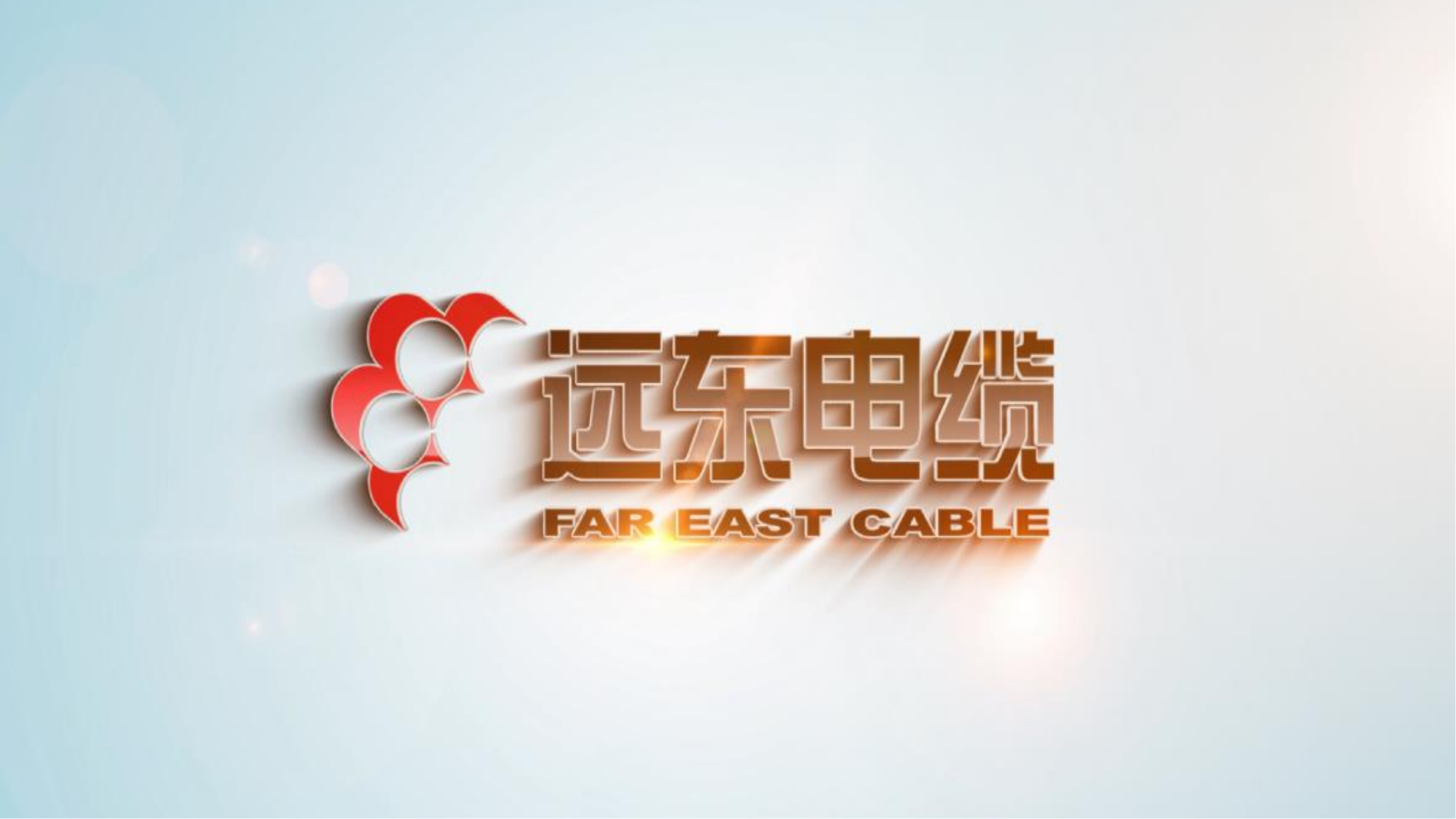 远东电缆有限公司